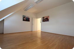 Penthouse in 1130 Wien Hietzing