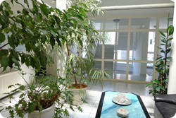 Bürogebäude in Laxenburg